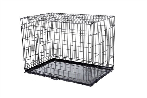 Confidence pet dog folding - dog,