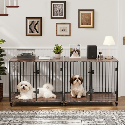 Xxl heavy duty clear dog - xxl,