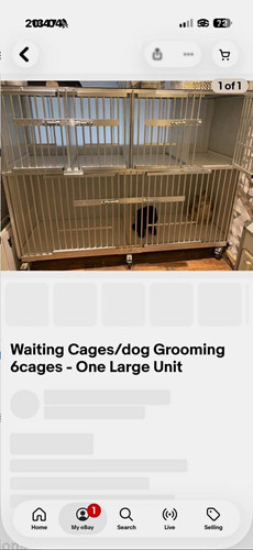 Steel dog grooming waiting - steel,