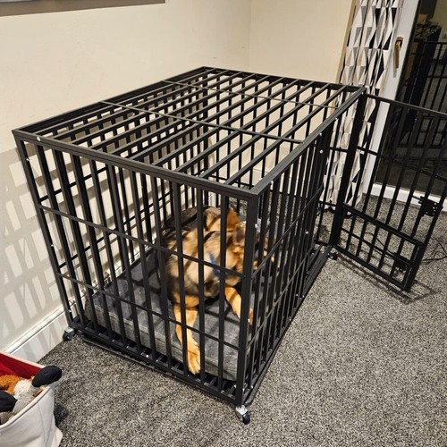 Indestructible heavy duty dog - duty,