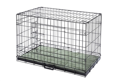 Confidence pet dog folding - dog,
