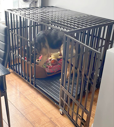 Heavy duty dog - heavy, crate