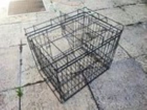 Black folding steel - wire, dog