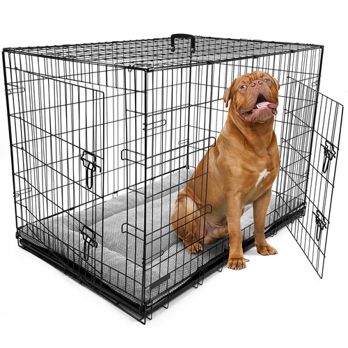 Dog cage puppy - dog, pet