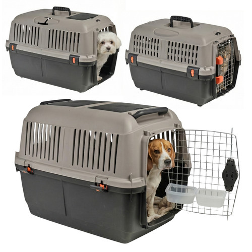 Iata approved dog cat pet - iata,