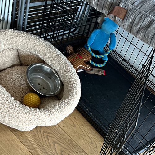 Folding steel wire dog cage - wire,