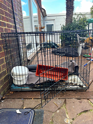 Black steel wire dog crate - black,