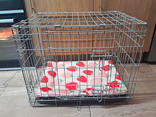 Folding steel wire dog - dog, crate