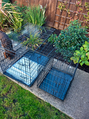 Folding steel wire dog - 2x,