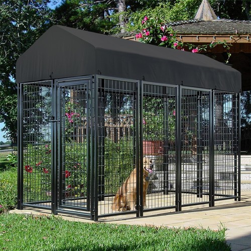 Heavy duty dog - dog, pet
