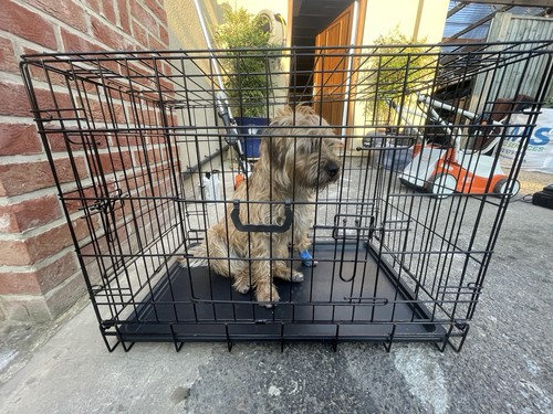 Folding steel wire dog cage - folding,
