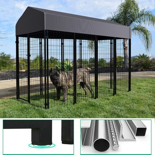 Jumbo outdoor dog kennel - outdoor,