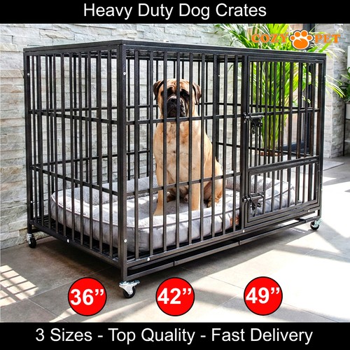 Cozy pet heavy - cozy,
